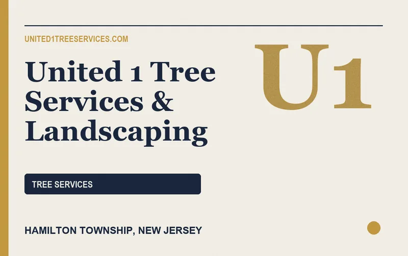 United 1 Tree Services & Landscaping in Hamilton Township, New Jersey