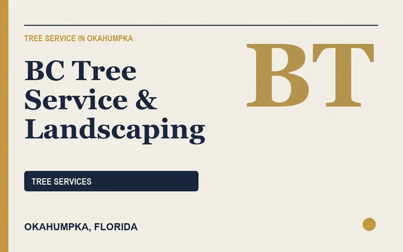 BC Tree Service & Landscaping in Okahumpka, Florida