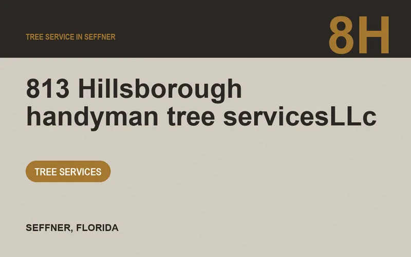 813 Hillsborough handyman tree servicesLLc in Seffner, Florida
