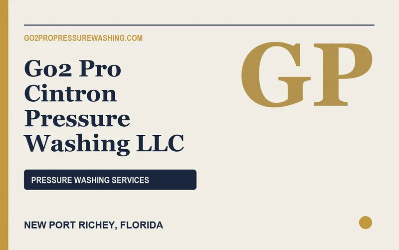 Go2 Pro Cintron Pressure Washing LLC in New Port Richey, Florida