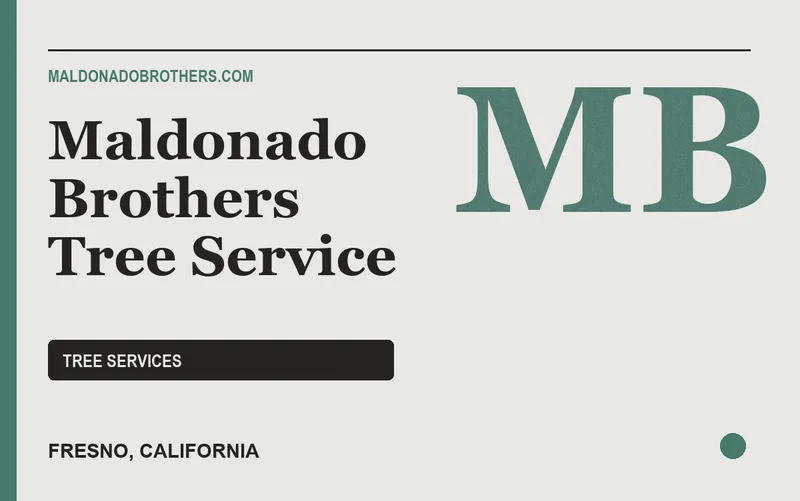 Maldonado Brothers Tree Service in Fresno, California
