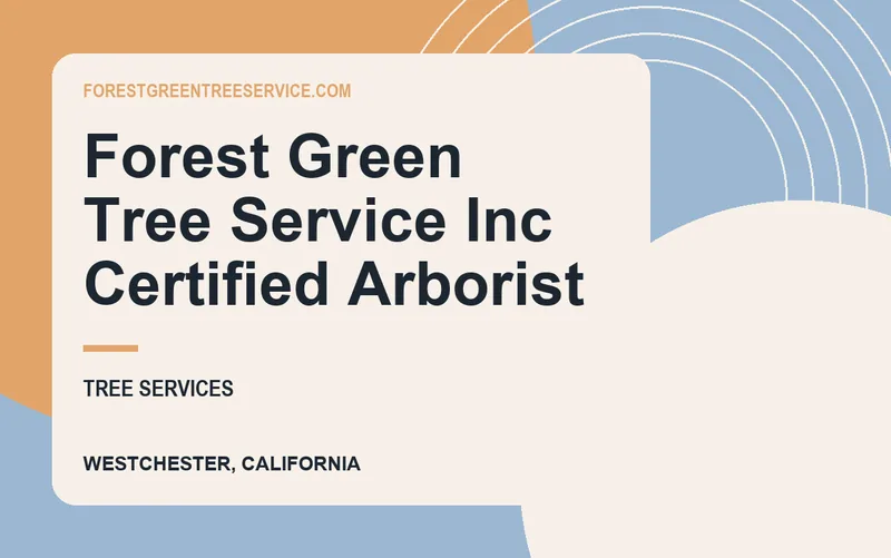 Forest Green Tree Service Inc Certified Arborist in Westchester, California