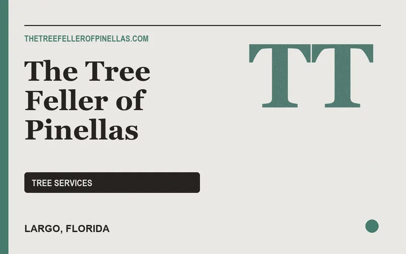 The Tree Feller of Pinellas in Largo, Florida