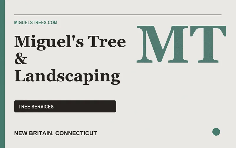 Miguel's Tree & Landscaping in New Britain, Connecticut