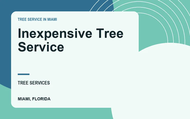 Inexpensive Tree Service in Miami, Florida