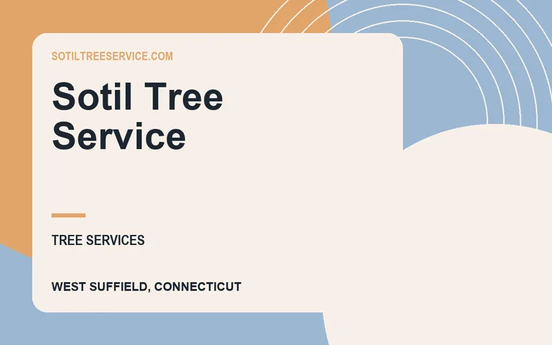 Sotil Tree Service in West Suffield, Connecticut