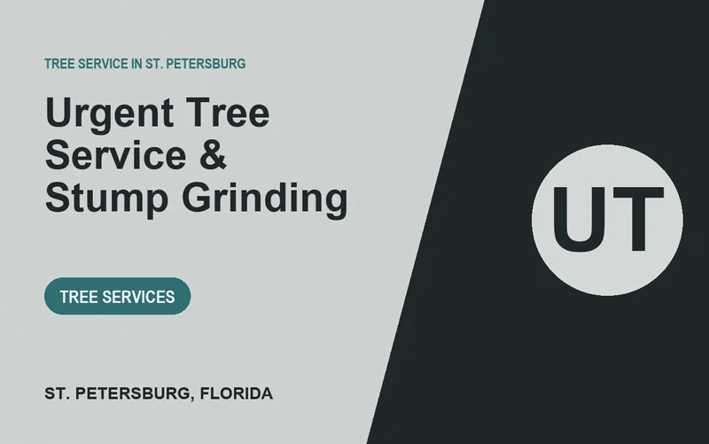 Urgent Tree Service & Stump Grinding in St. Petersburg, Florida
