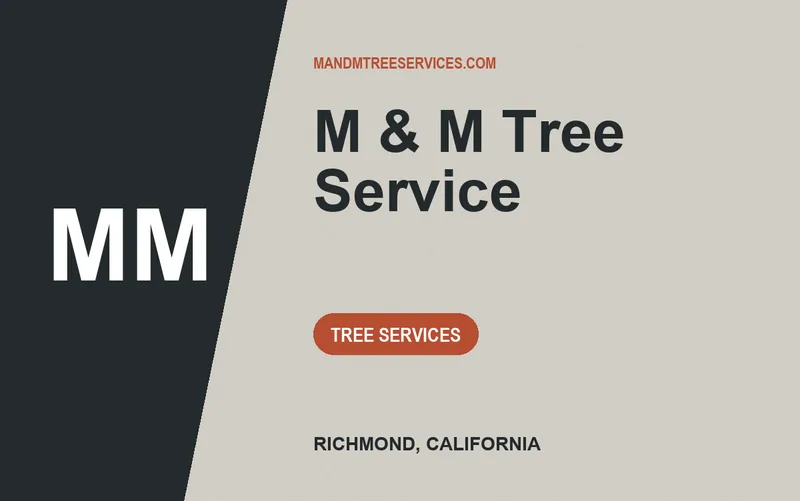 M & M Tree Service in Richmond, California