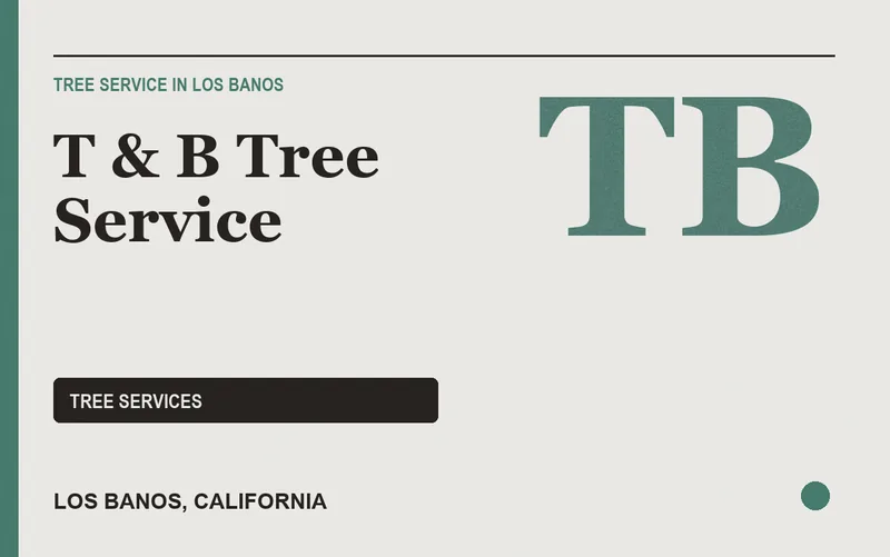 T & B Tree Service in Los Banos, California