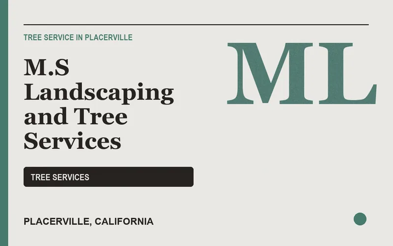 M.S Landscaping and Tree Services in Placerville, California