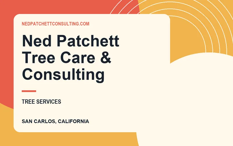 Ned Patchett Tree Care & Consulting in San Carlos, California