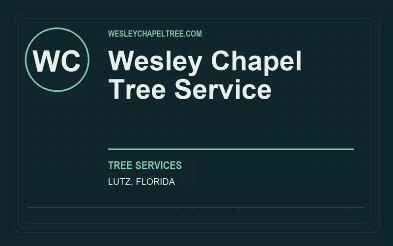Wesley Chapel Tree Service in Lutz, Florida