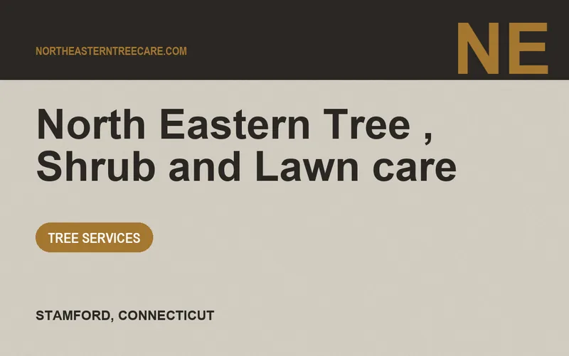 North Eastern Tree , Shrub and Lawn care in Stamford, Connecticut