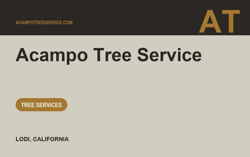 Acampo Tree Service in Lodi, California
