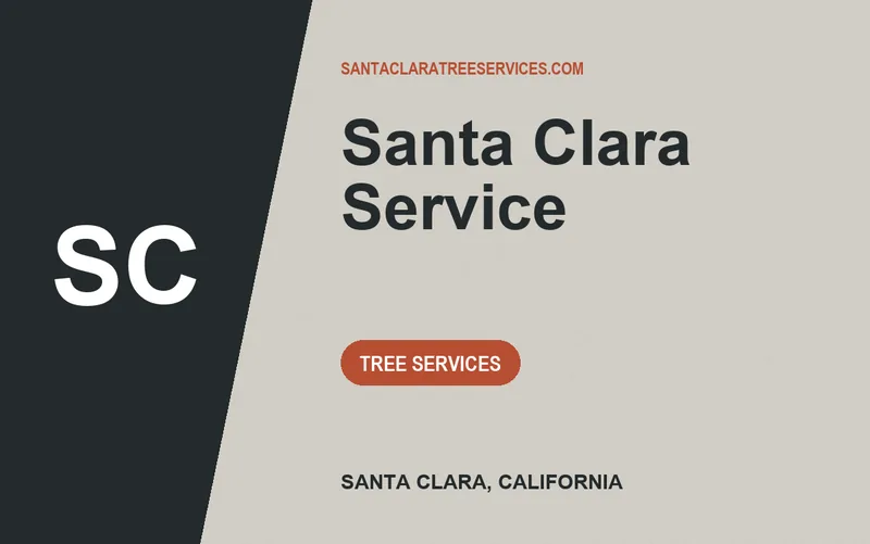 Santa Clara Service in Santa Clara, California