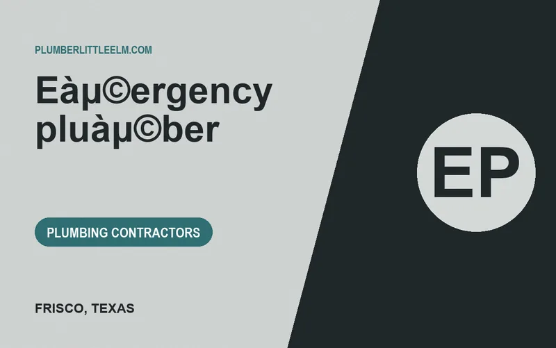 Eàμ©ergency pluàμ©ber in Frisco, Texas