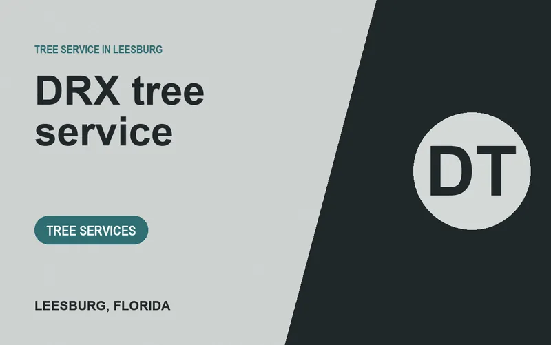 DRX tree service in Leesburg, Florida