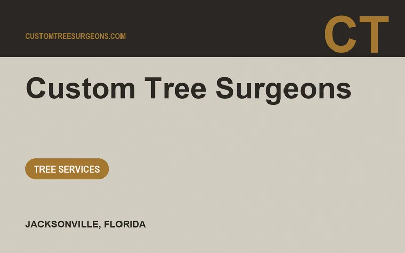 Custom Tree Surgeons in Jacksonville, Florida