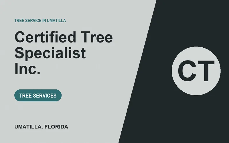 Certified Tree Specialist Inc. in Umatilla, Florida