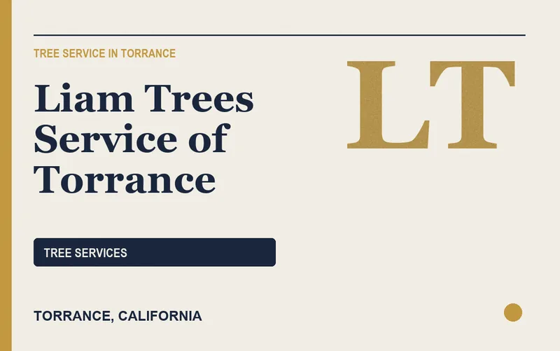 Liam Trees Service of Torrance in Torrance, California