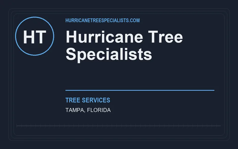 Hurricane Tree Specialists in Tampa, Florida