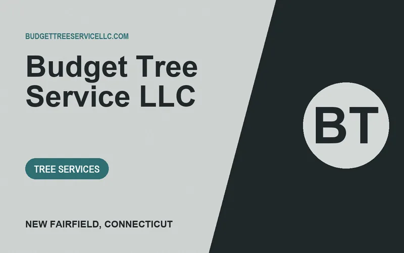 Budget Tree Service LLC in New Fairfield, Connecticut