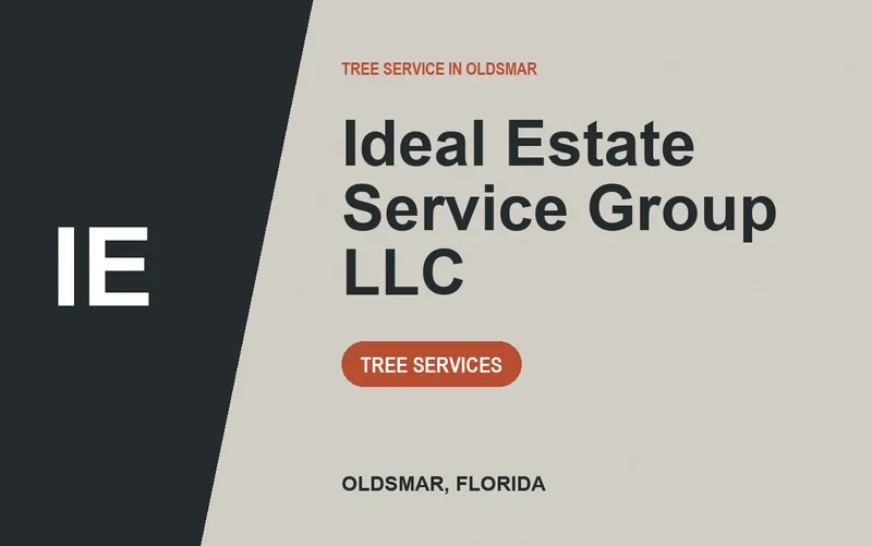 Ideal Estate Service Group LLC in Oldsmar, Florida