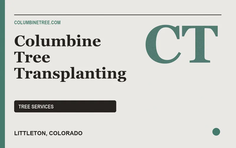 Columbine Tree Transplanting in Littleton, Colorado