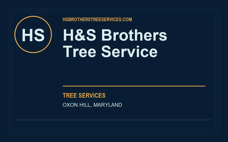 H&S Brothers Tree Service in Oxon Hill, Maryland