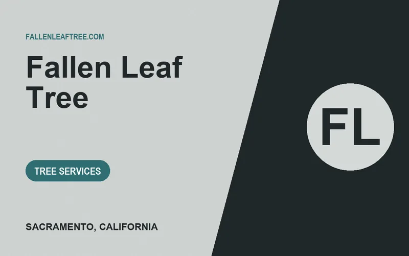 Fallen Leaf Tree in Sacramento, California