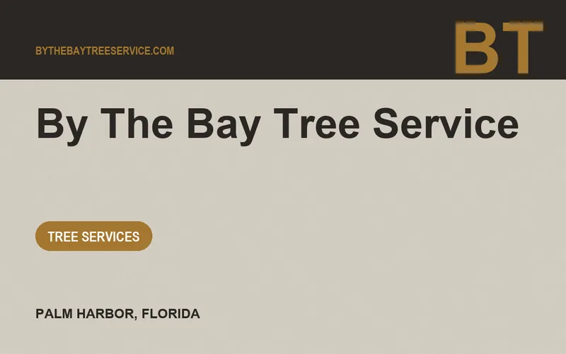 By The Bay Tree Service in Palm Harbor, Florida