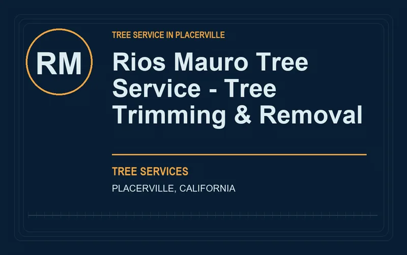 Rios Mauro Tree Service - Tree Trimming & Removal in Placerville, California