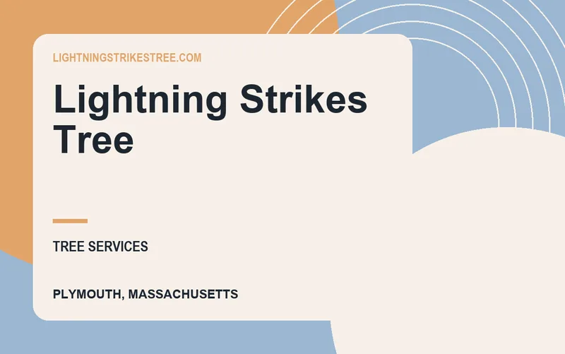 Lightning Strikes Tree in Plymouth, Massachusetts