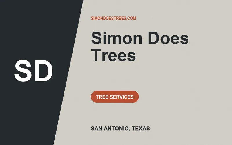 Simon Does Trees in San Antonio, Texas