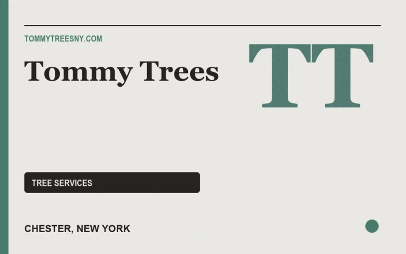 Tommy Trees in Chester, New York