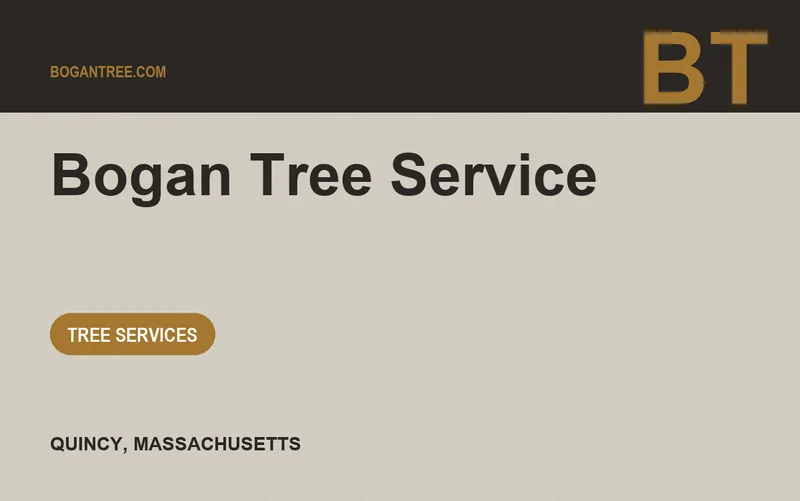 Bogan Tree Service in Quincy, Massachusetts