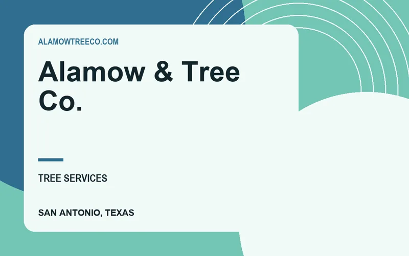 Alamow & Tree Co. in San Antonio, Texas