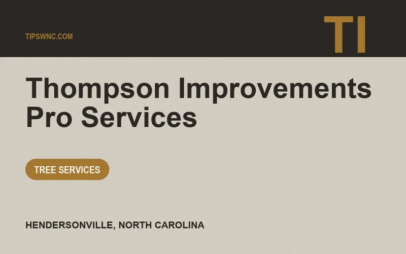 Thompson Improvements Pro Services in Hendersonville, North Carolina