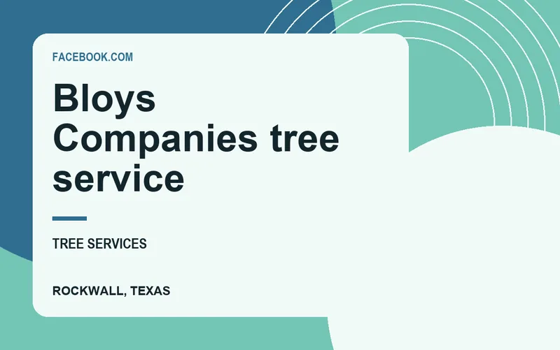 Bloys Companies tree service in Rockwall, Texas