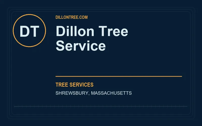 Dillon Tree Service in Shrewsbury, Massachusetts