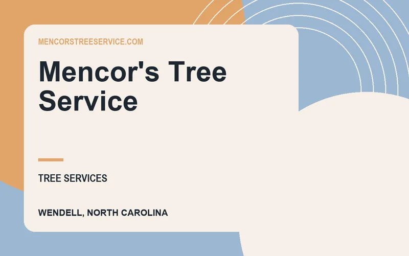 Mencor's Tree Service in Wendell, North Carolina