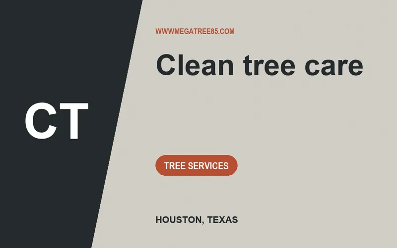 Clean tree care in Houston, Texas