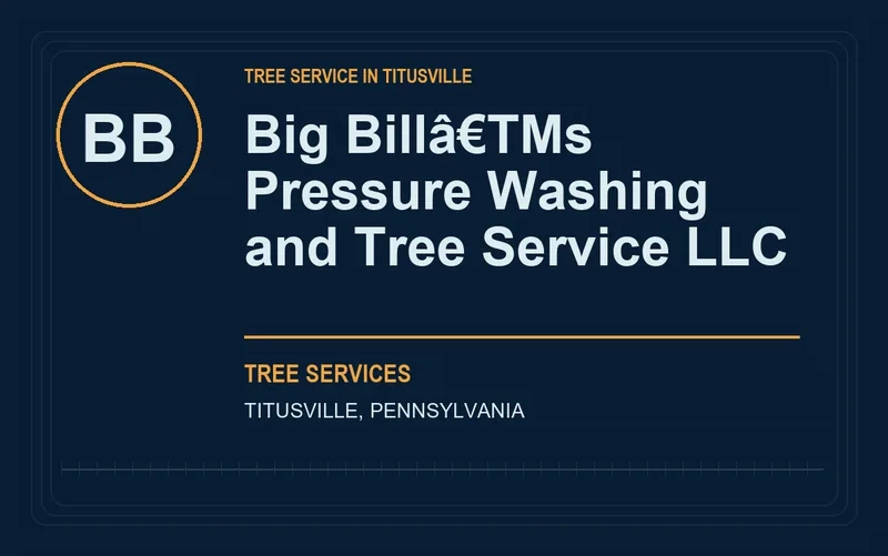 Big Billâ€TMs Pressure Washing and Tree Service LLC in Titusville, Pennsylvania