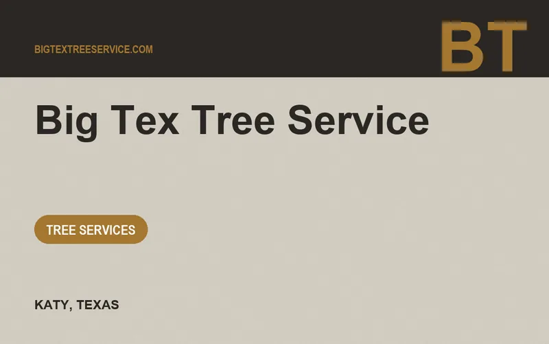 Big Tex Tree Service in Katy, Texas
