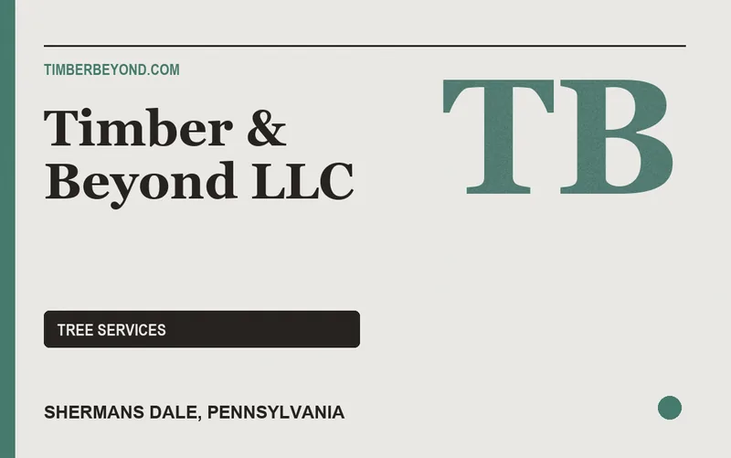 Timber & Beyond LLC in Shermans Dale, Pennsylvania