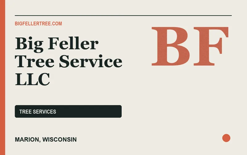 Big Feller Tree Service LLC in Marion, Wisconsin