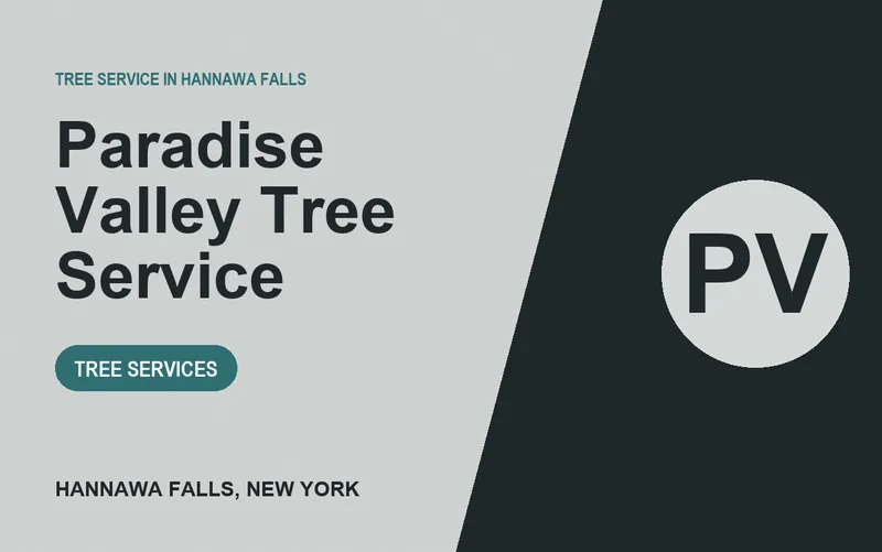 Paradise Valley Tree Service in Hannawa Falls, New York