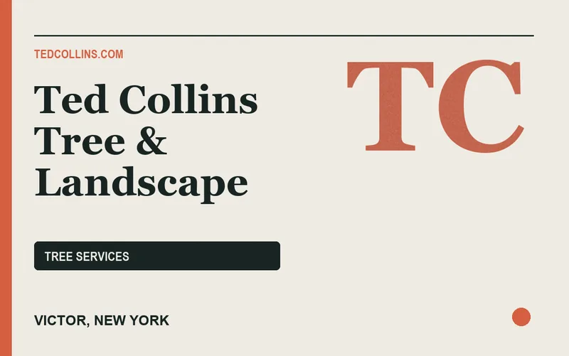 Ted Collins Tree & Landscape in Victor, New York