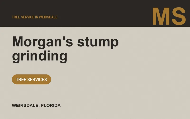 Morgan's stump grinding in Weirsdale, Florida