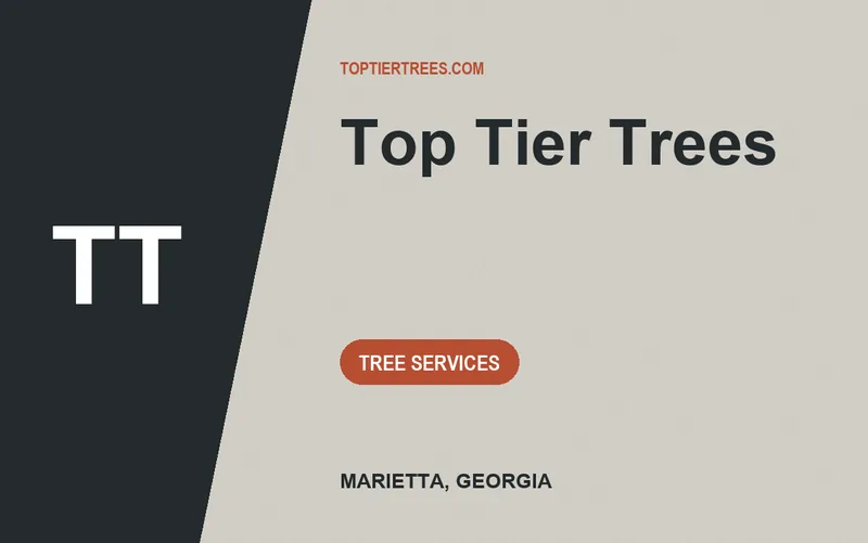 Top Tier Trees in Marietta, Georgia